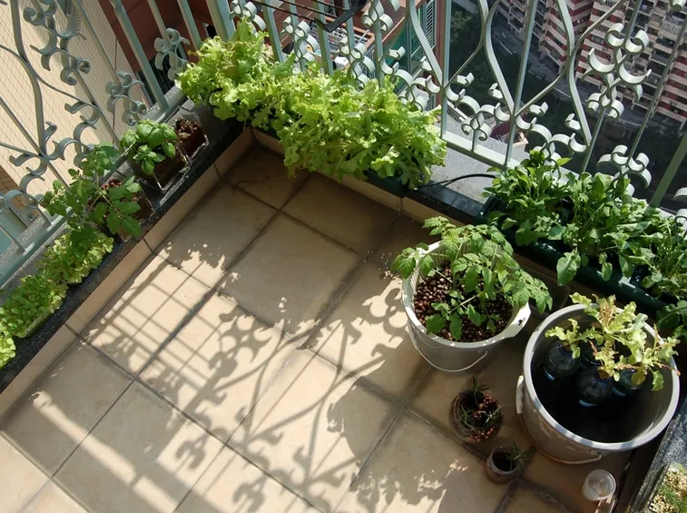 vasi per orto sul balcone