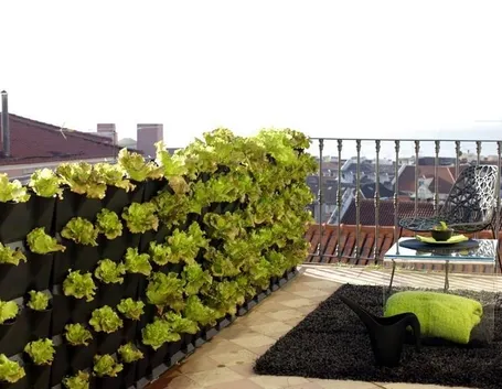 orto verticale sul balcone