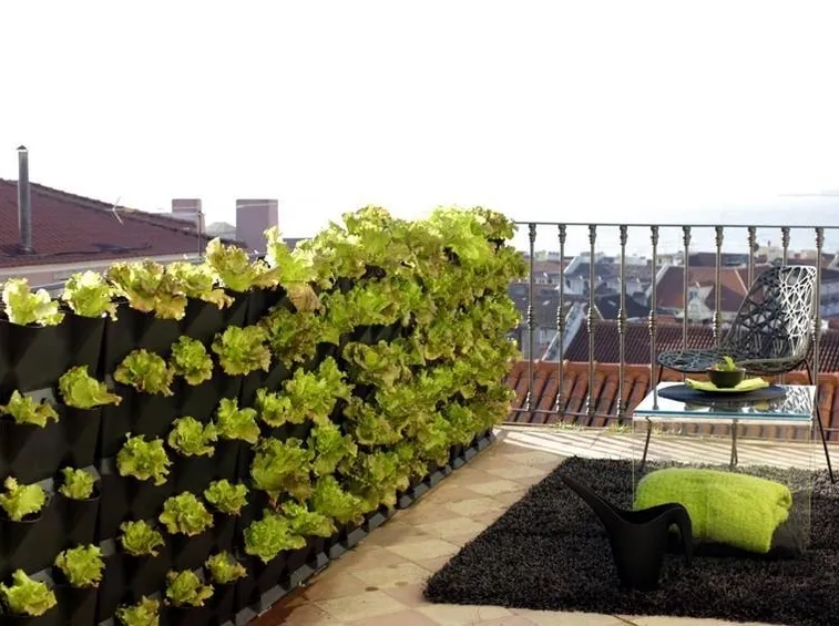 orto verticale sul balcone