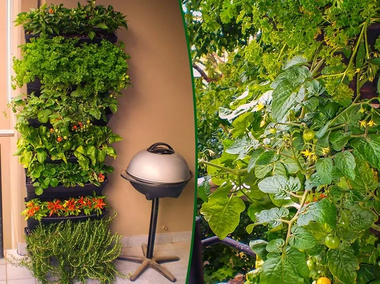 orto balcone
