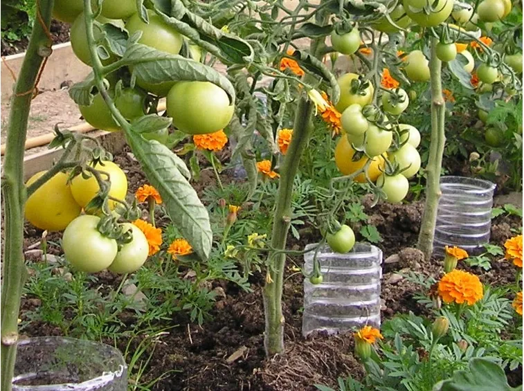 Sistema irrigazione artigianale