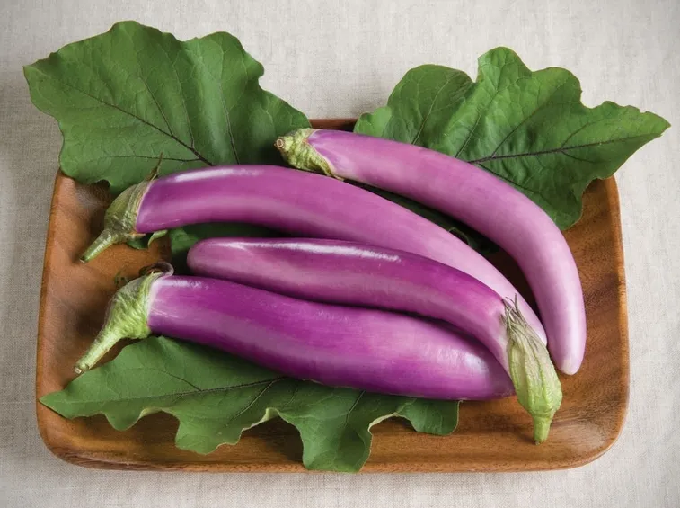 melanzane rosa