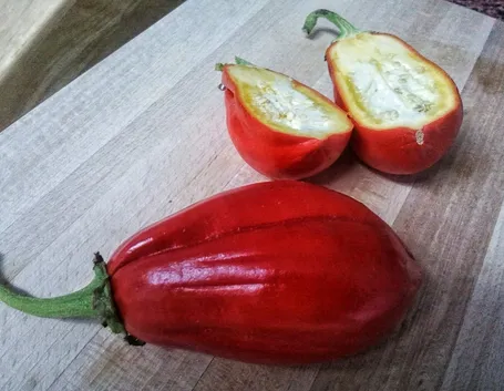 melanzana rossa