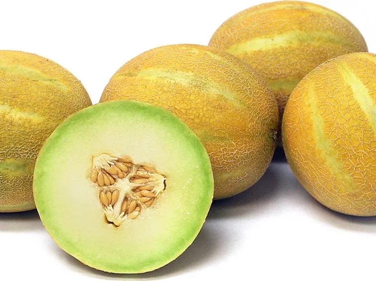 melone bianco