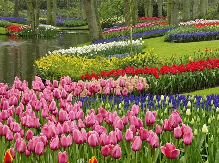 giardino