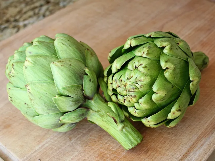 Carciofi piante perenni