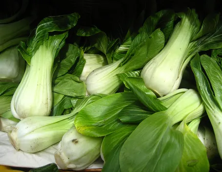 Pak choi