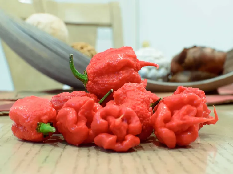 carolina reaper