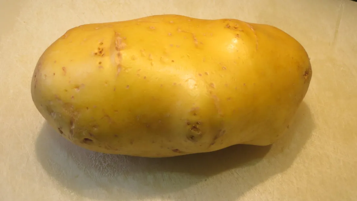 Patata