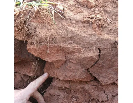 Terreno argilloso