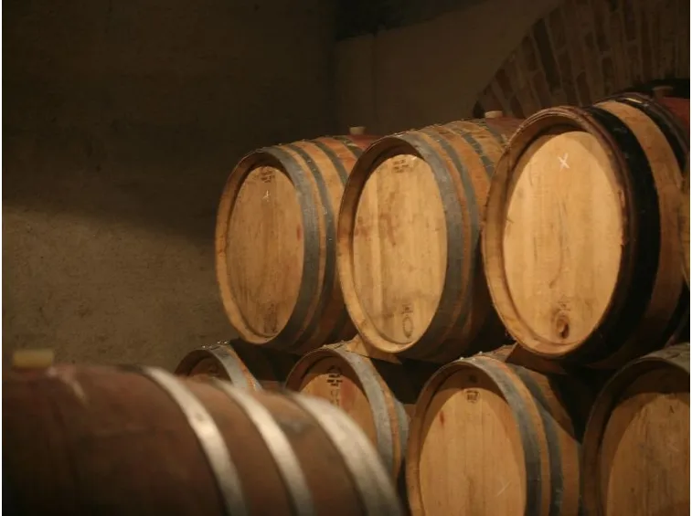 Barriques per l'invecchiamento del vino