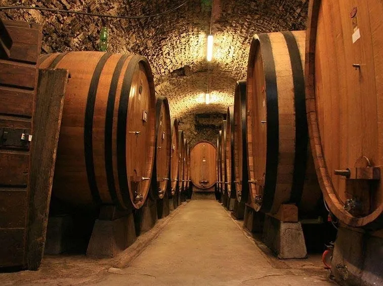 Cantine con botti di vino
