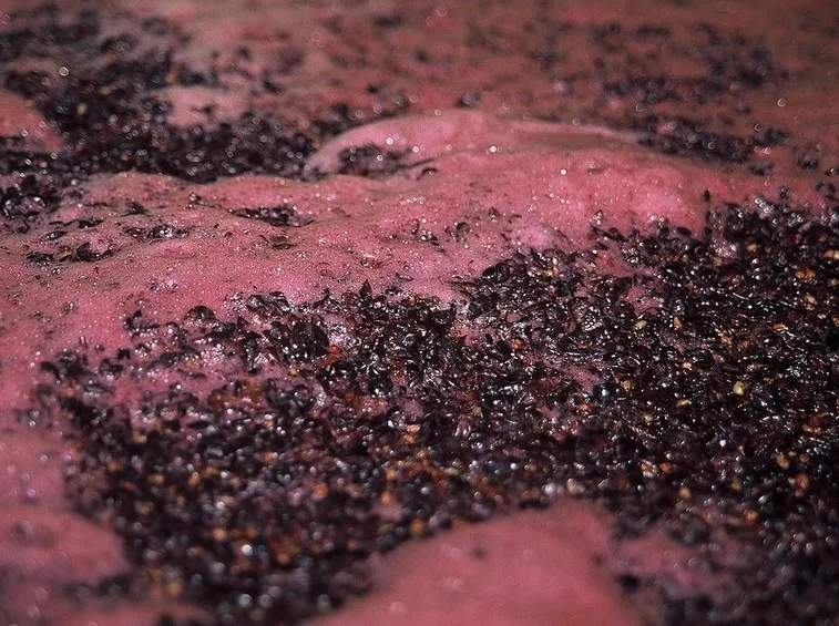 Fermentazione tumultuosa di mosto d'uva
