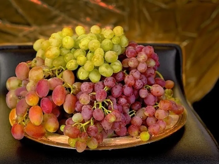 uva raccolta