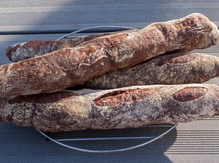 Pane preparato con la farina di semi d'uva