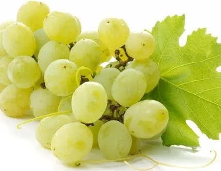uva bianca da tavola