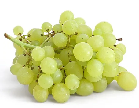 Uva fragola bianca