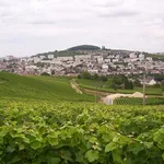 Spettacolari vigneti ad Épernay