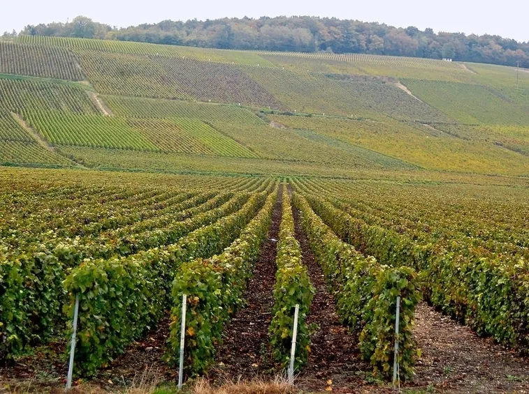 Vigneti di Passy