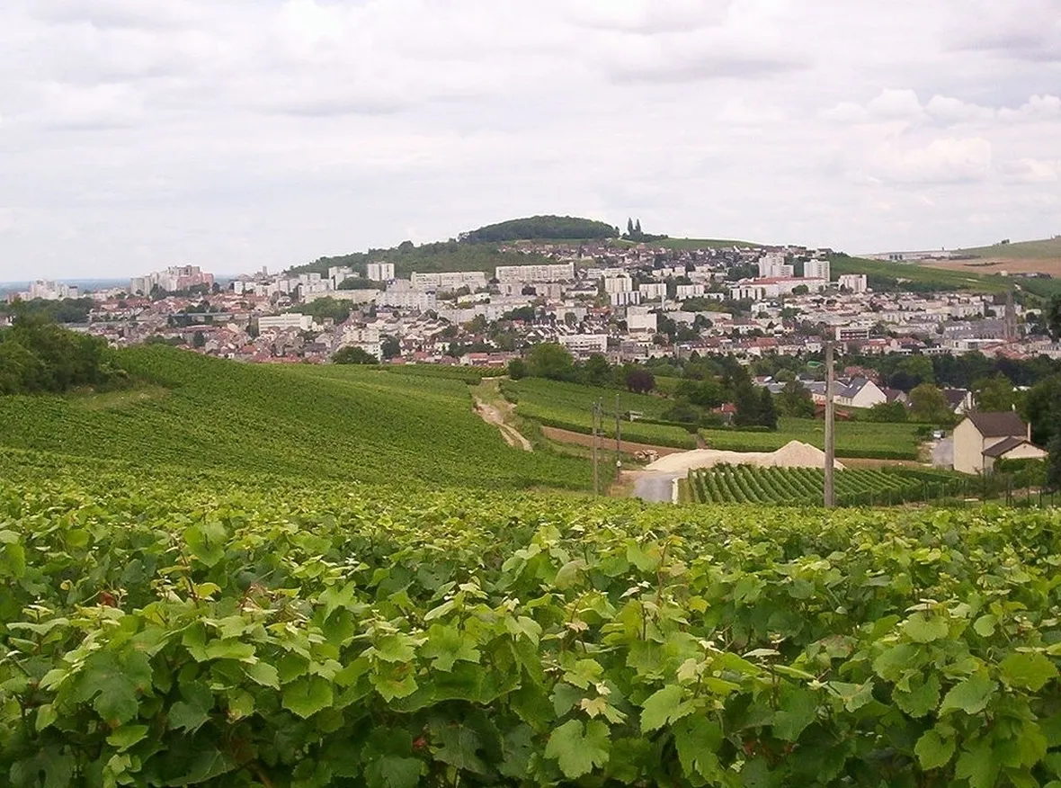 Spettacolari vigneti ad Épernay