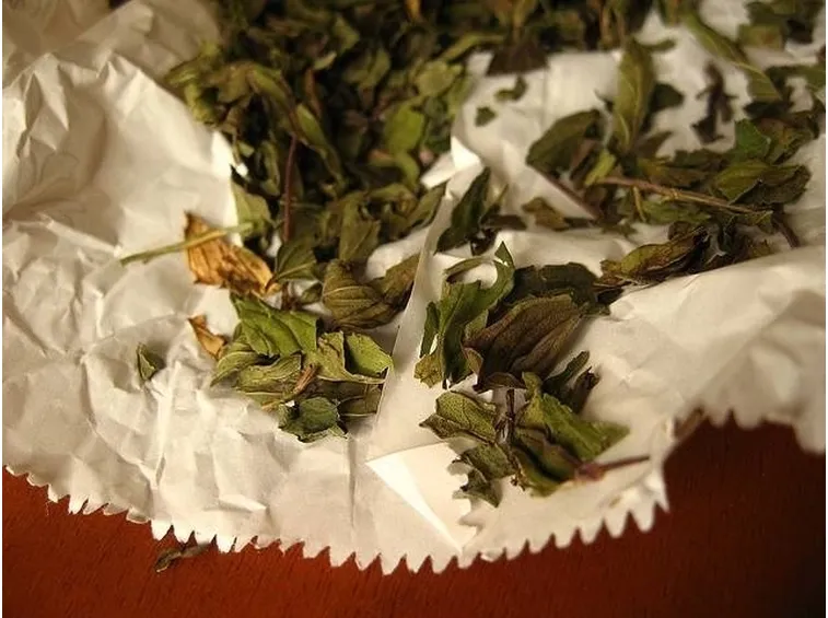 foglie di uva ursina essiccate