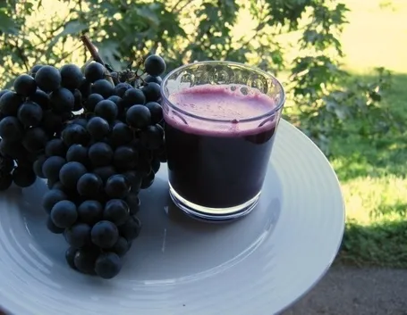 grappoli di uva da vino