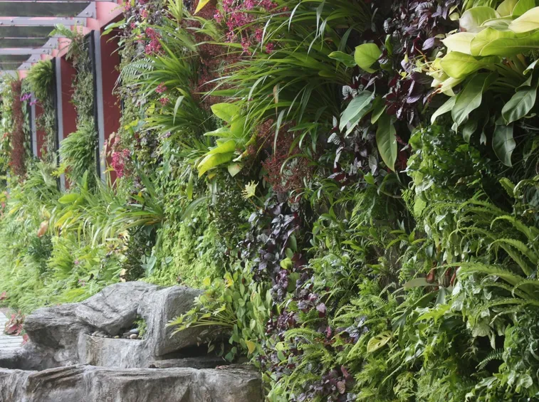 giardino verticale