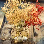 fiore secco