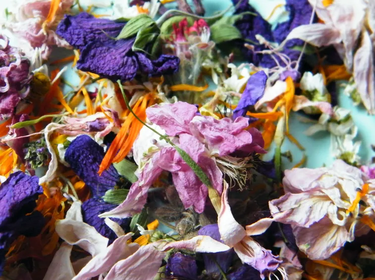 fiori essicati