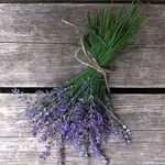 fiori secchi di lavanda