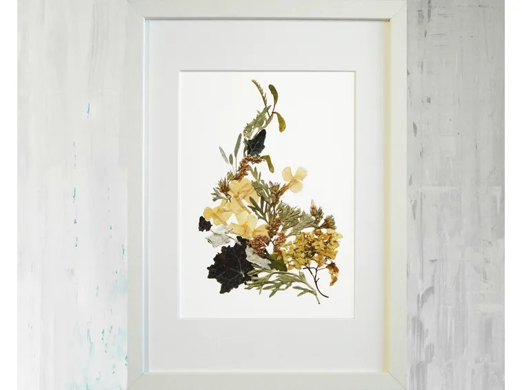 fiori secchi