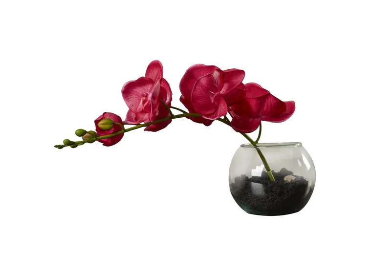 fioritura