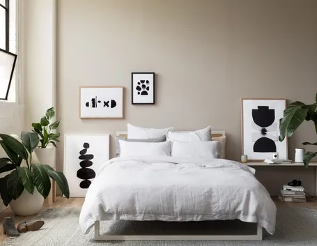 Piante per camera da letto