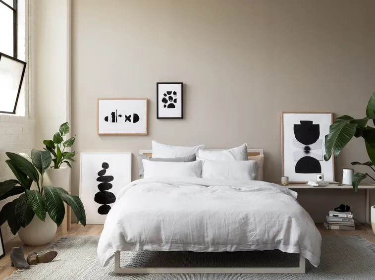 Piante per camera da letto
