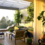 alberi balcone