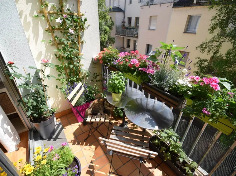 fiori per terrazzo