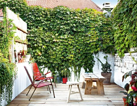 piante in terrazzo