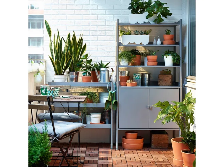 Piante verdi da balcone 