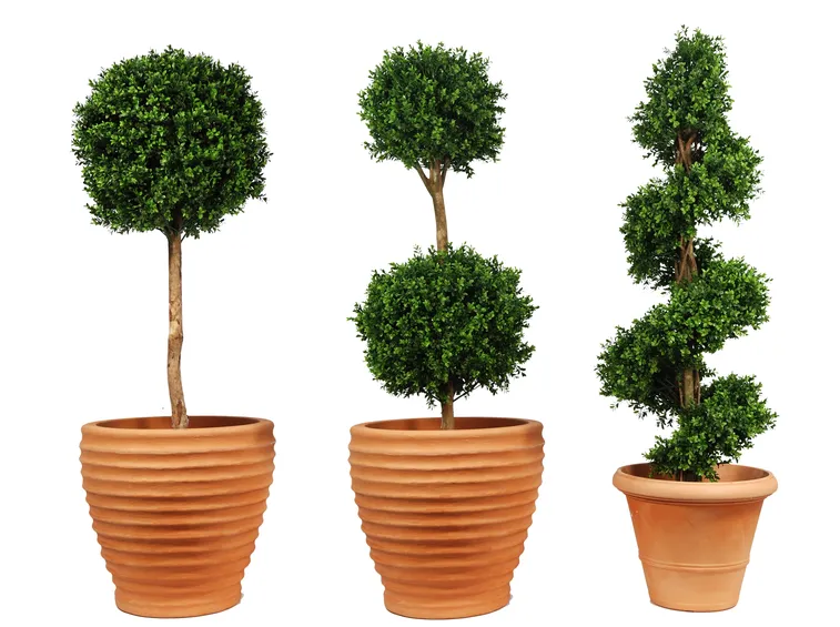 alberi finti