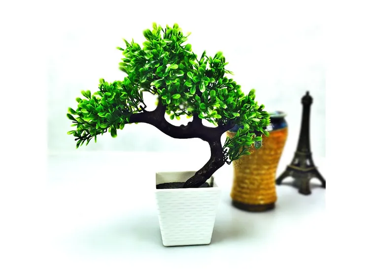 bonsai finto