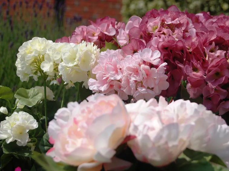 fiori artificiali