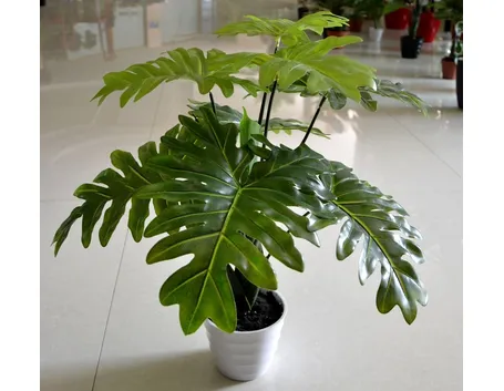 pianta finta
