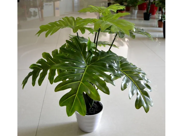 pianta finta