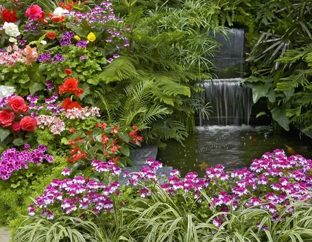 Video corsi giardinaggio