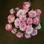 rosa purple haze