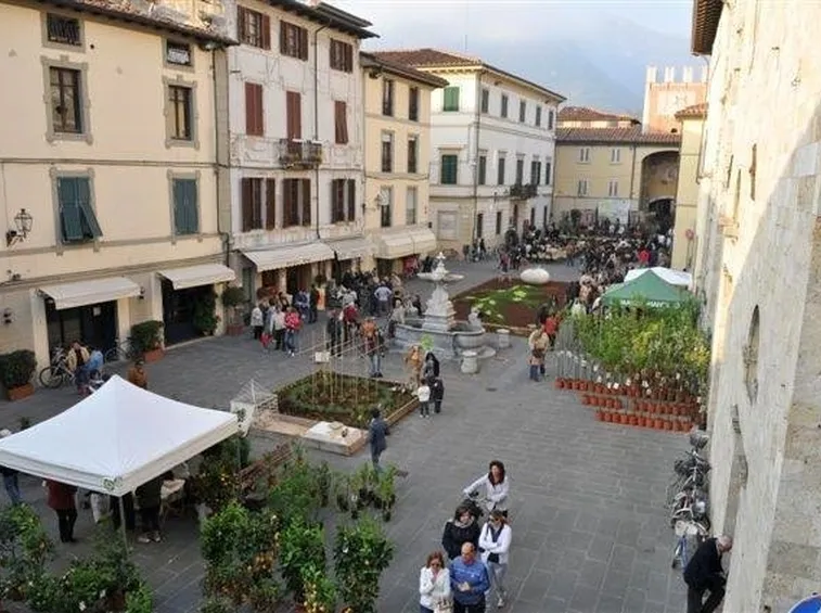 Festa degli orti Camaiore