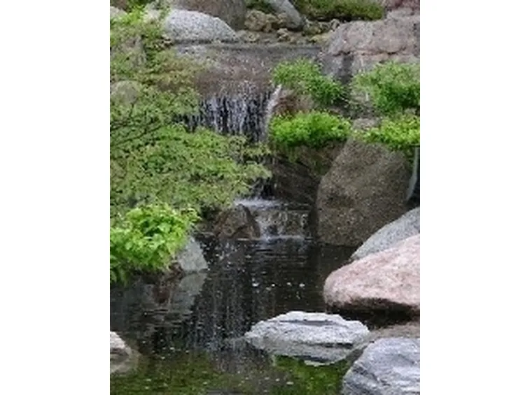 giardino giapponese