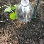 irrigazione