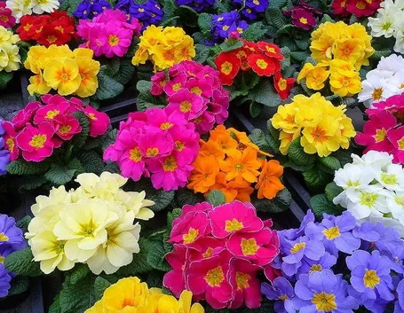 lavori di primavera