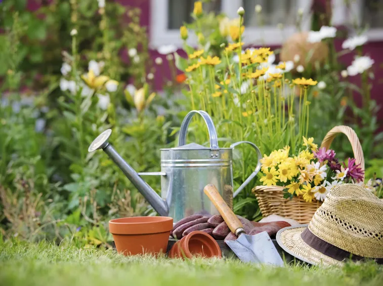 speciali di giardinaggio.it